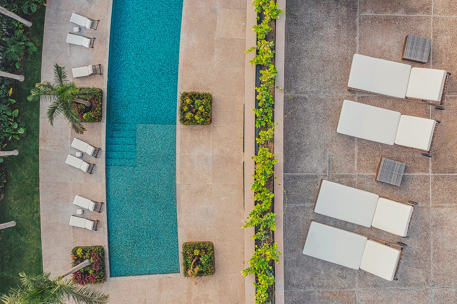 Resort-Style Pool & Sun Loungers